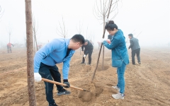 植树添新绿，不负好春光——中银联合投资集团举行植树团建